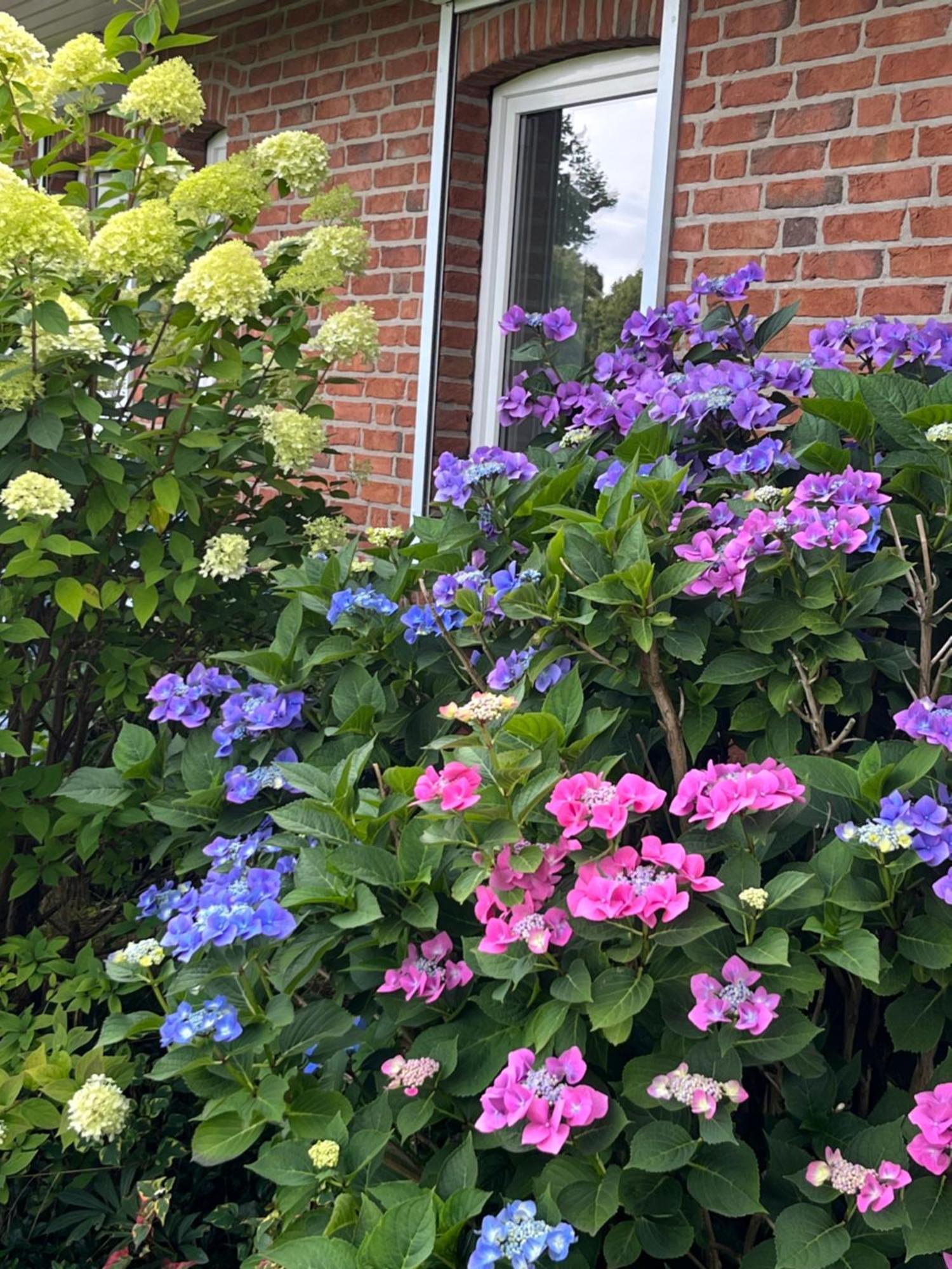 Gartenzimmer Zwischen Den Meeren Ladelund Екстериор снимка